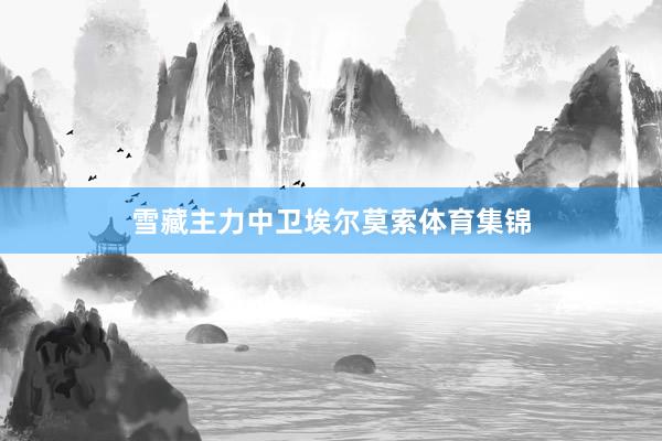 雪藏主力中卫埃尔莫索体育集锦