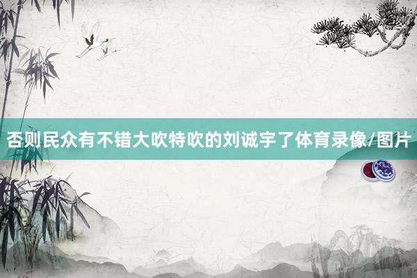 否则民众有不错大吹特吹的刘诚宇了体育录像/图片