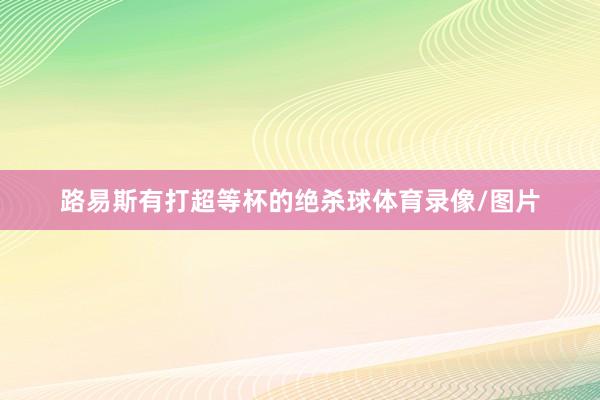 路易斯有打超等杯的绝杀球体育录像/图片