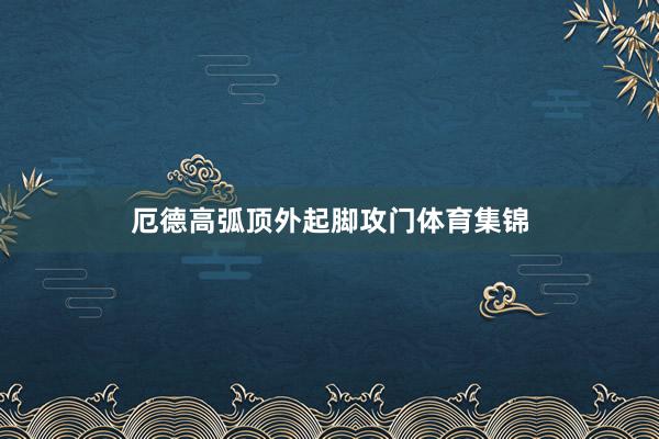 厄德高弧顶外起脚攻门体育集锦