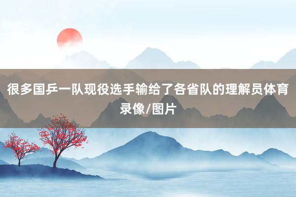 很多国乒一队现役选手输给了各省队的理解员体育录像/图片