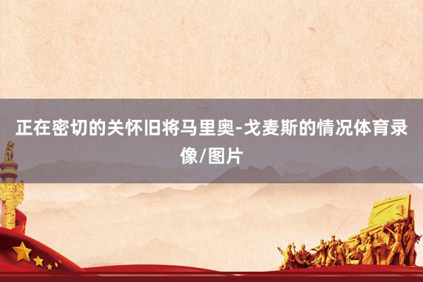 正在密切的关怀旧将马里奥-戈麦斯的情况体育录像/图片