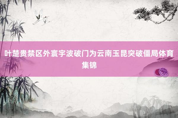 叶楚贵禁区外寰宇波破门为云南玉昆突破僵局体育集锦