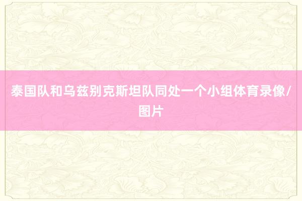 泰国队和乌兹别克斯坦队同处一个小组体育录像/图片