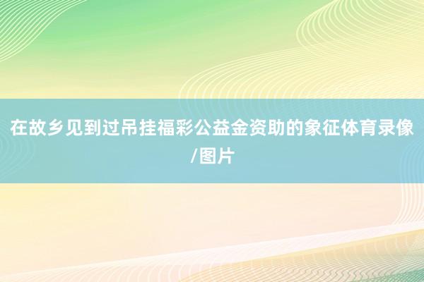 在故乡见到过吊挂福彩公益金资助的象征体育录像/图片