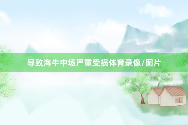 导致海牛中场严重受损体育录像/图片