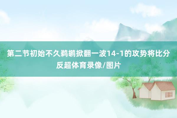 第二节初始不久鹈鹕掀翻一波14-1的攻势将比分反超体育录像/图片