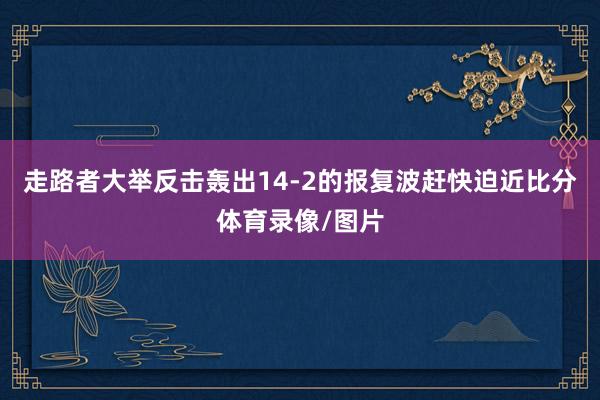 走路者大举反击轰出14-2的报复波赶快迫近比分体育录像/图片