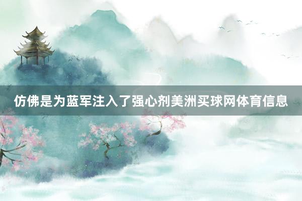 仿佛是为蓝军注入了强心剂美洲买球网体育信息
