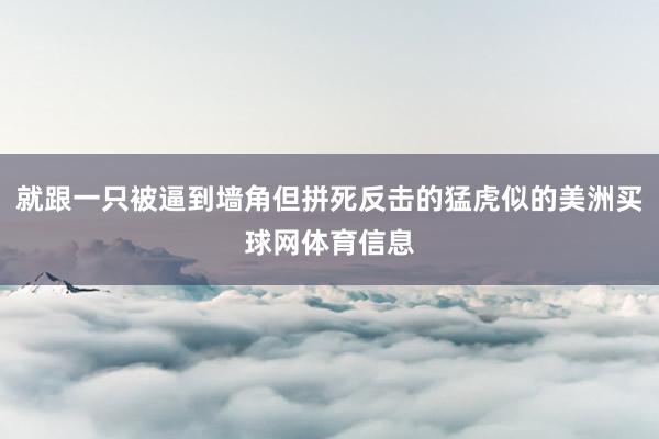 就跟一只被逼到墙角但拼死反击的猛虎似的美洲买球网体育信息