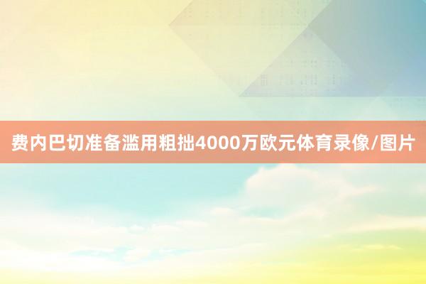 费内巴切准备滥用粗拙4000万欧元体育录像/图片