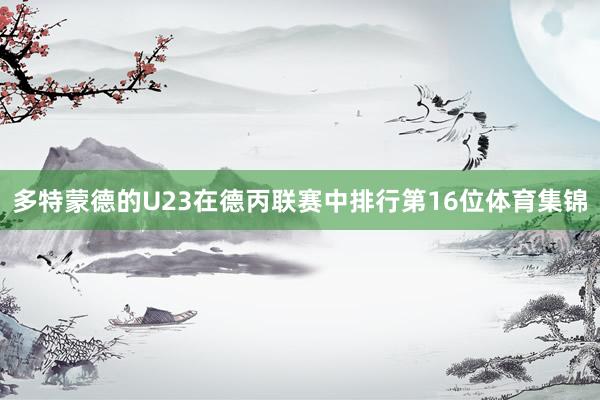 多特蒙德的U23在德丙联赛中排行第16位体育集锦