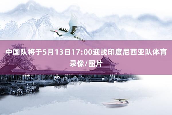 中国队将于5月13日17:00迎战印度尼西亚队体育录像/图片