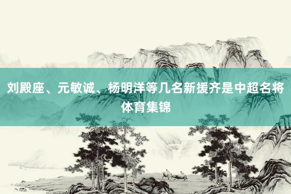 刘殿座、元敏诚、杨明洋等几名新援齐是中超名将体育集锦
