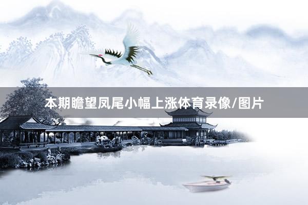 本期瞻望凤尾小幅上涨体育录像/图片