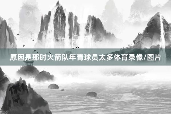 原因是那时火箭队年青球员太多体育录像/图片