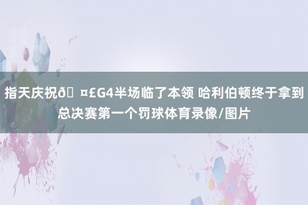 指天庆祝🤣G4半场临了本领 哈利伯顿终于拿到总决赛第一个罚球体育录像/图片