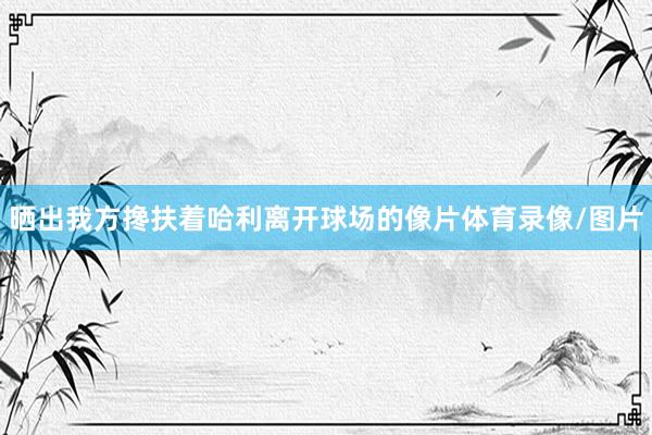 晒出我方搀扶着哈利离开球场的像片体育录像/图片