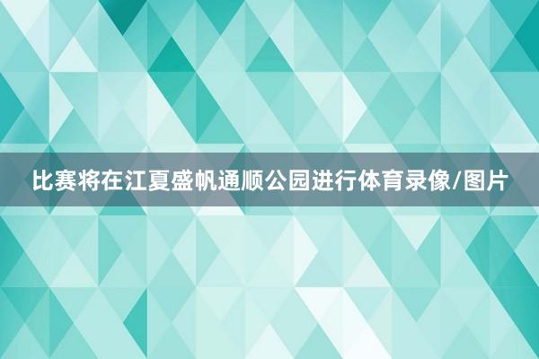 比赛将在江夏盛帆通顺公园进行体育录像/图片