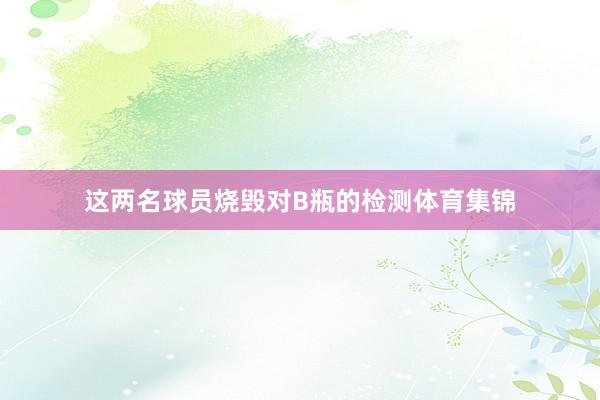 这两名球员烧毁对B瓶的检测体育集锦