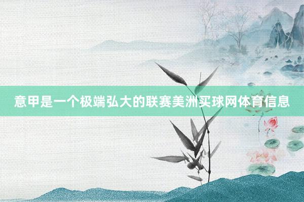 意甲是一个极端弘大的联赛美洲买球网体育信息