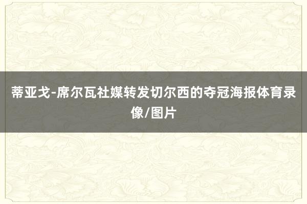 蒂亚戈-席尔瓦社媒转发切尔西的夺冠海报体育录像/图片