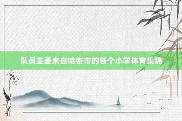 队员主要来自哈密市的各个小学体育集锦