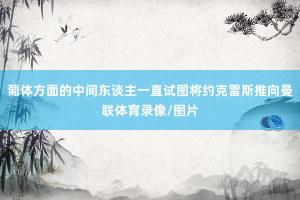 葡体方面的中间东谈主一直试图将约克雷斯推向曼联体育录像/图片