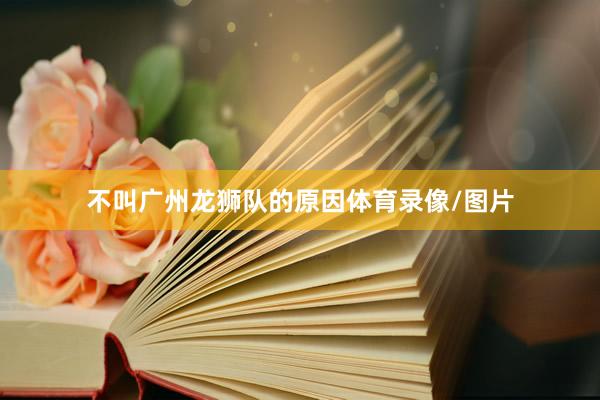 不叫广州龙狮队的原因体育录像/图片