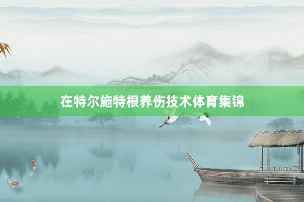 在特尔施特根养伤技术体育集锦