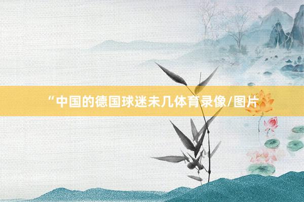 “中国的德国球迷未几体育录像/图片