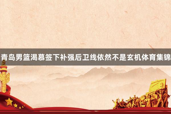 青岛男篮渴慕签下补强后卫线依然不是玄机体育集锦