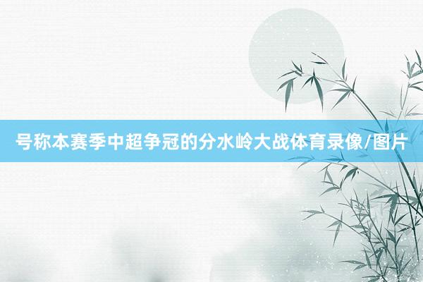 号称本赛季中超争冠的分水岭大战体育录像/图片