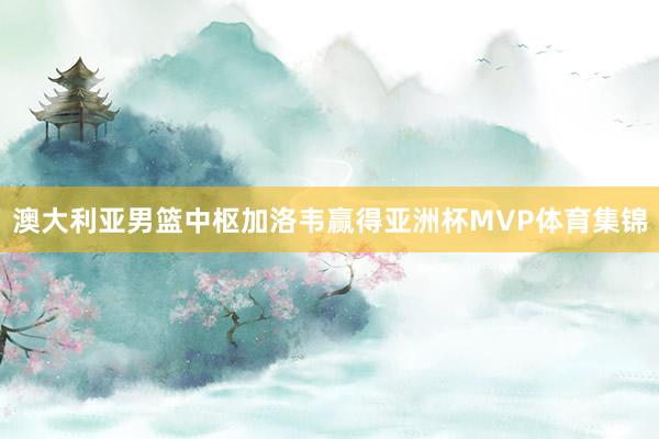 澳大利亚男篮中枢加洛韦赢得亚洲杯MVP体育集锦