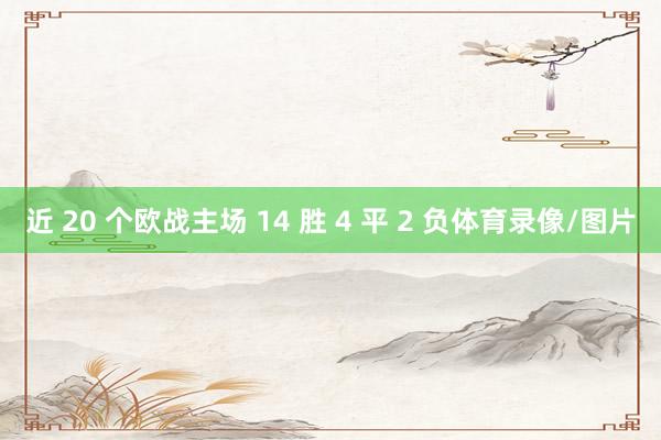 近 20 个欧战主场 14 胜 4 平 2 负体育录像/图片