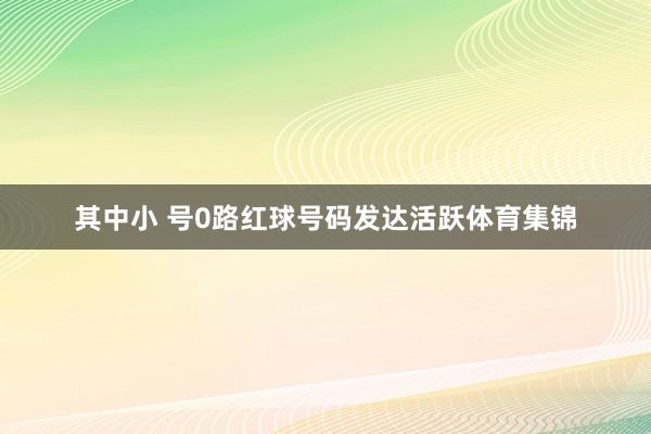 其中小 号0路红球号码发达活跃体育集锦