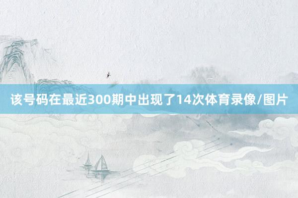 该号码在最近300期中出现了14次体育录像/图片