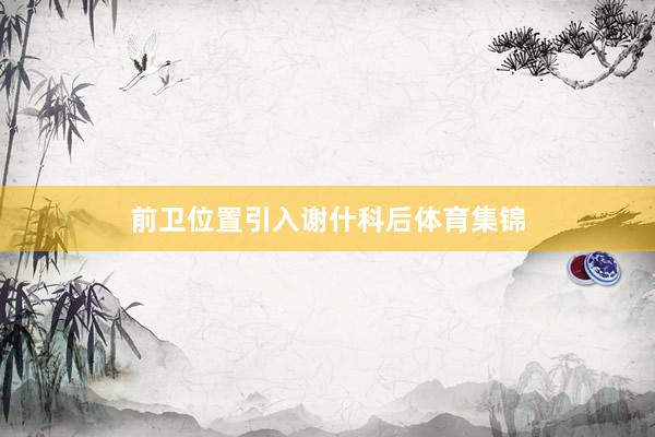 前卫位置引入谢什科后体育集锦