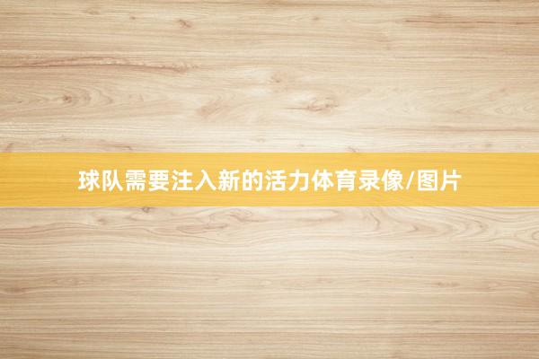 球队需要注入新的活力体育录像/图片