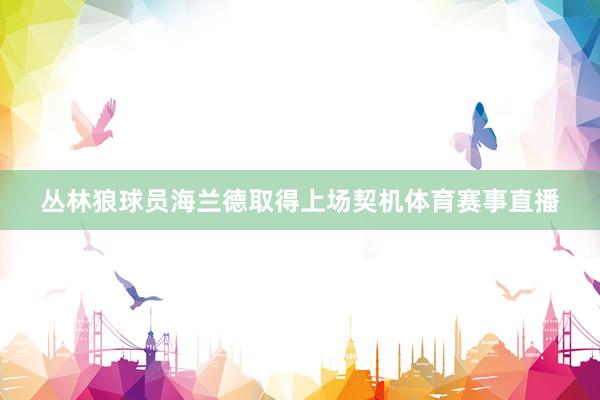 丛林狼球员海兰德取得上场契机体育赛事直播