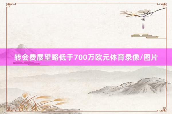转会费展望略低于700万欧元体育录像/图片