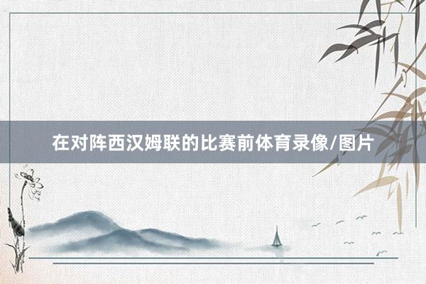 在对阵西汉姆联的比赛前体育录像/图片