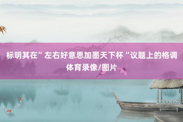 标明其在”左右好意思加墨天下杯“议题上的格调体育录像/图片