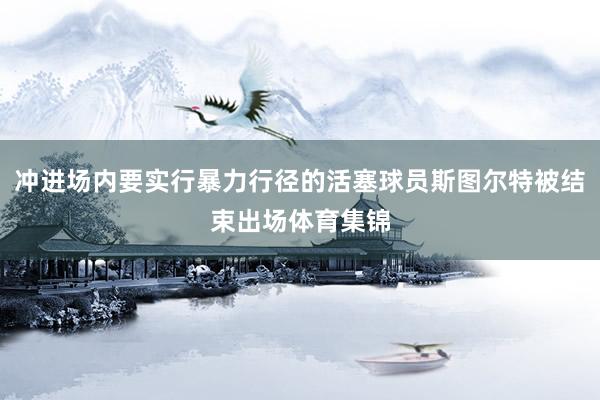 冲进场内要实行暴力行径的活塞球员斯图尔特被结束出场体育集锦