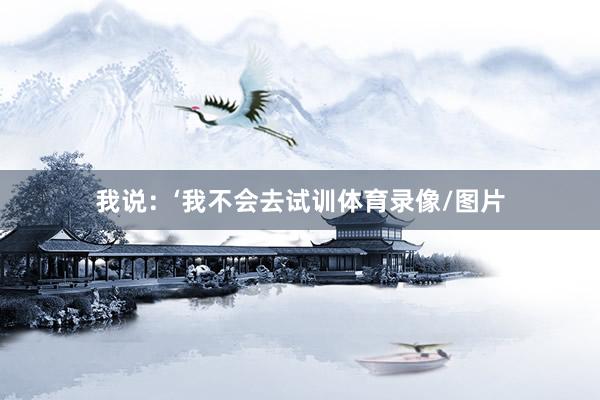我说:‘我不会去试训体育录像/图片