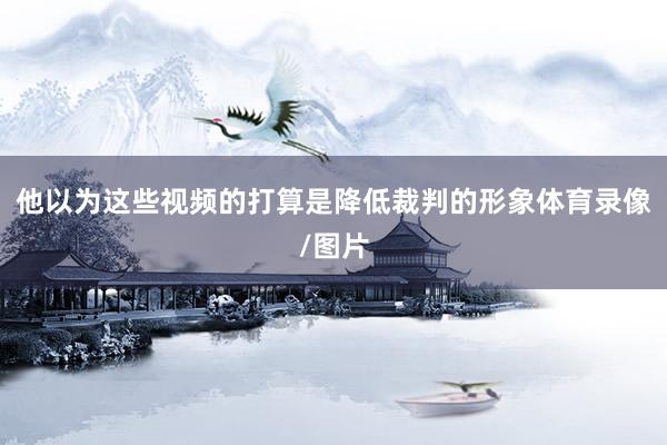 他以为这些视频的打算是降低裁判的形象体育录像/图片