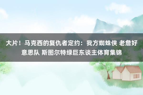 大片！马克西的复仇者定约：我方蜘蛛侠 老詹好意思队 斯图尔特绿巨东谈主体育集锦