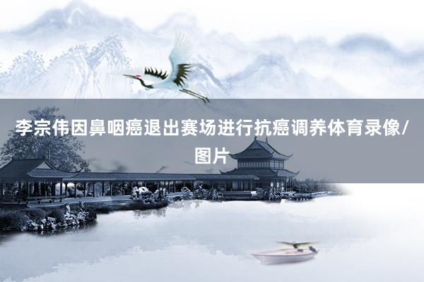 李宗伟因鼻咽癌退出赛场进行抗癌调养体育录像/图片