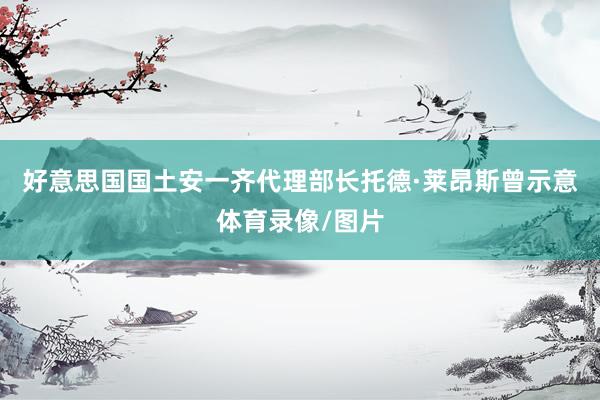 好意思国国土安一齐代理部长托德·莱昂斯曾示意体育录像/图片