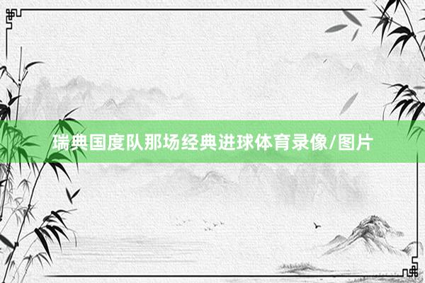 瑞典国度队那场经典进球体育录像/图片